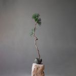 Curve Bowl, Mini - Tummanharmaa 2