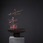 Baburu-kulho, iso – Chocolate Brown 2